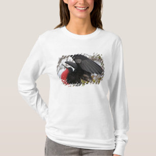 Camiseta Fragata Magnificente