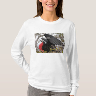 Camiseta Fragata Magnificente