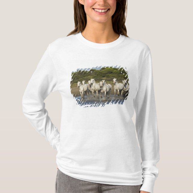 Camiseta França, Camargue. Cavalos atravessam o estuário 3 (Frente)