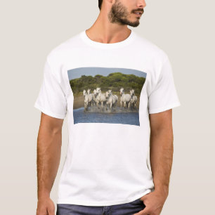 Camiseta França, Camargue. Cavalos correm pela foz 3