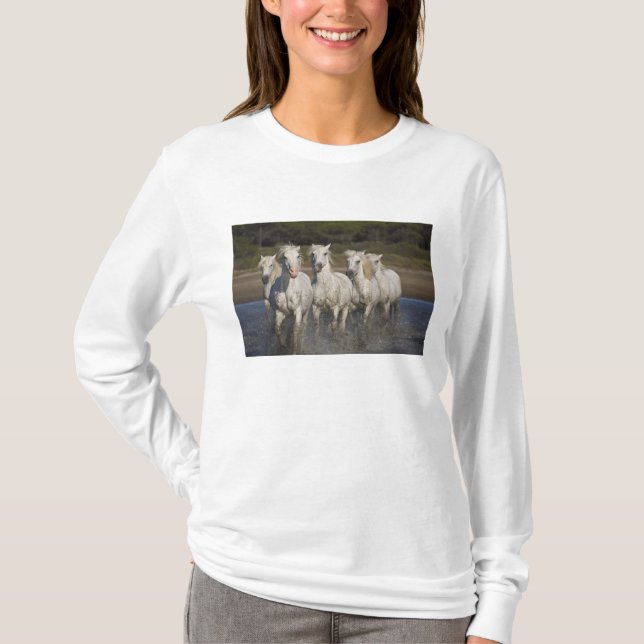 Camiseta França, Camargue. Cavalos corridos (Frente)