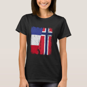 Camiseta França Noruega Metade Bandeira Antecedentes Norueg