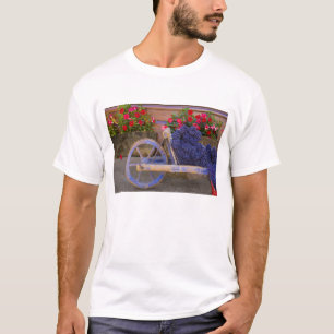 Camiseta França, Provença, Sault. Velha carroça de madeira