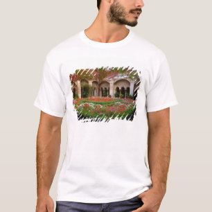 Camiseta França, St. Remy de Provence, claustros às 2