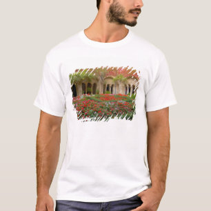 Camiseta França, St. Remy de Provence, claustros às 3
