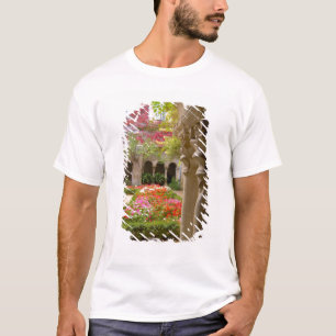 Camiseta França, St. Remy de Provence, claustros em