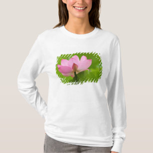 Camiseta Franklin NC, Jardim de Água de Perry, Lótus