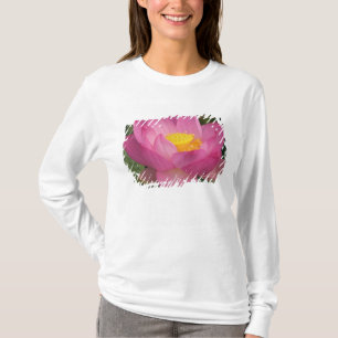 Camiseta Franklin NC, Jardim de Água de Perry, Lótus 2