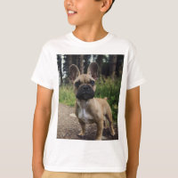 French Bulldog Throw Pillow