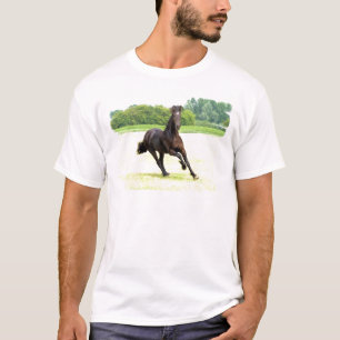 Camiseta friesian-12.jpg