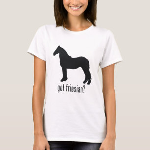 Camiseta Frisão