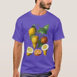CAMISETA FRUTA CITRUS