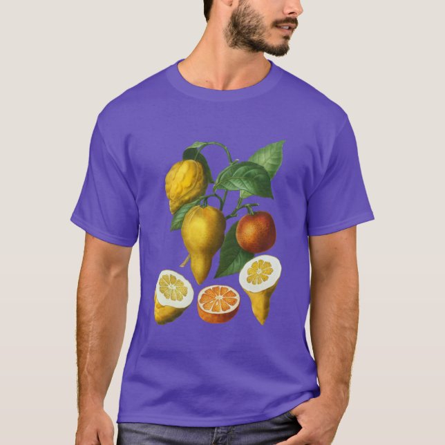 CAMISETA FRUTA CITRUS (Frente)
