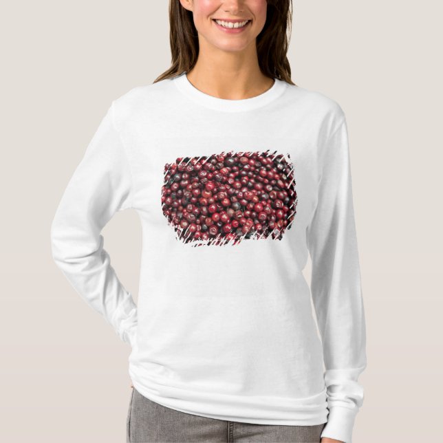 Camiseta Frutas vermelhas do Himalaia (Frente)