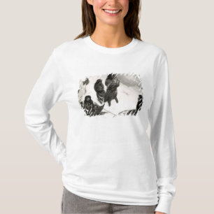 Camiseta Fuegians que vai trocar em Zapallos