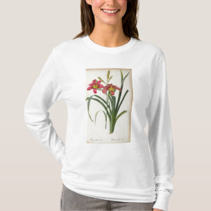 Camiseta Fulva do Hemerocallis, de "Les Liliacees", 1805