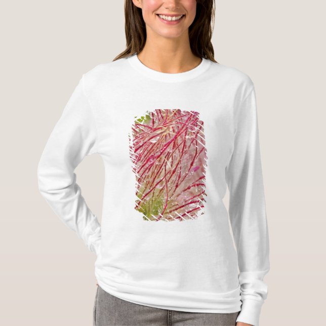 Camiseta Fumaça da pradaria na chuva em Theodore (Frente)