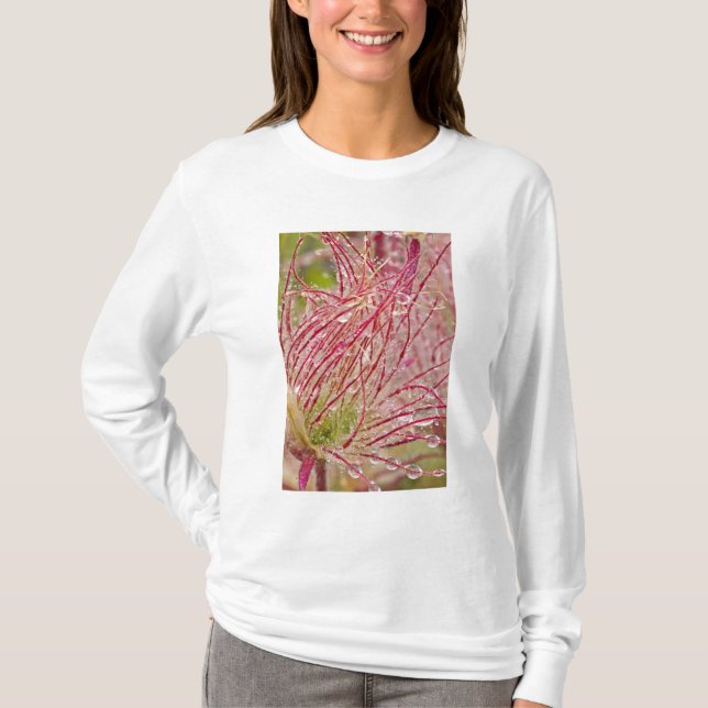 Camiseta Fumaça da Pradaria na chuva em Theodore (Frente)