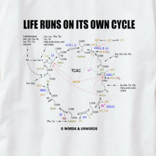 Camiseta Funcionamentos da vida em seu próprio ciclo (cicl