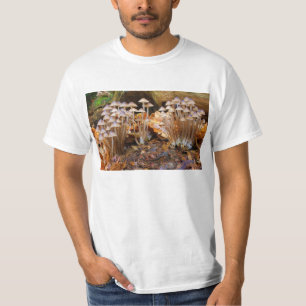 Camiseta Fungos de cogumelo aglomerados Inclinata da capota
