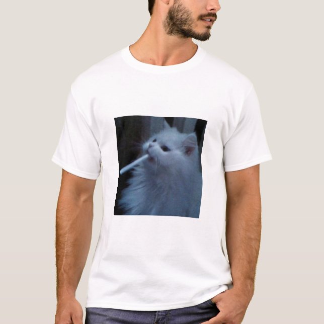 Camiseta funny cat (Frente)
