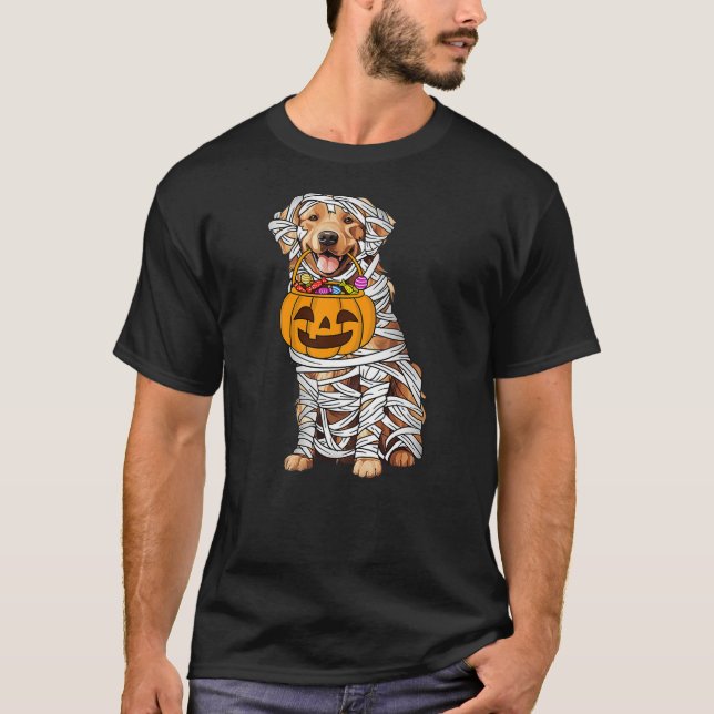 Camiseta Funny Golden Retriever Dog Mummy Halloween Pumpkin (Frente)