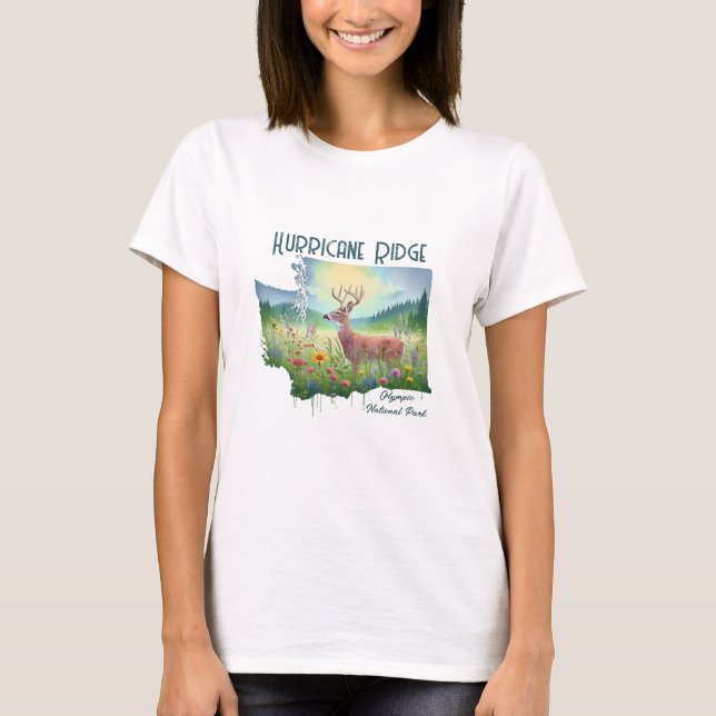 Camiseta Furacão Ridge National Park Souvenir Gift (Frente)