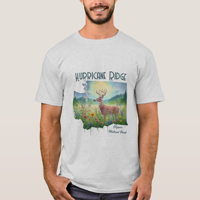 Camiseta Furacão Ridge National Park Souvenir Gift (Frente)