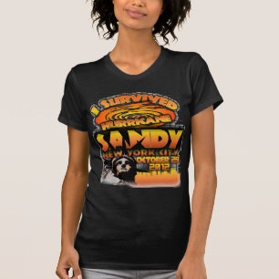 Camiseta Furacão Sandy, Nova Iorque
