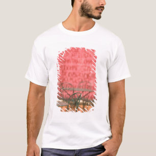 Camiseta FWI, Guadalupe, Grande Terra, Pointe a Pitre: