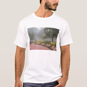 Camiseta GA Savannah, Azaléias ao longo da calçada de tijol