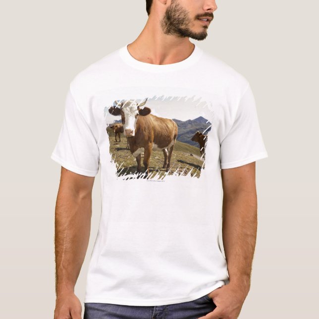 Camiseta Gado (Frente)