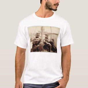 Camiseta Gado do transporte no "W.G. Salão", Havaí, 1890s