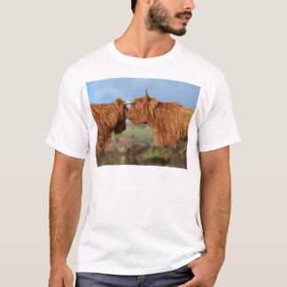 Camiseta Gado escocês das montanhas
