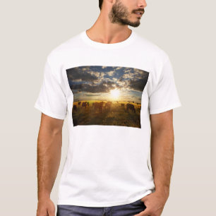Camiseta Gado no campo, por do sol