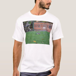 Camiseta Gaio-comum