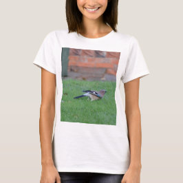 Camiseta Gaio-comum