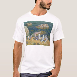Camiseta Gaivota, 1910