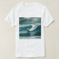 Gaivota Surfista de Inverno, Gaivota Surfando, Gai
