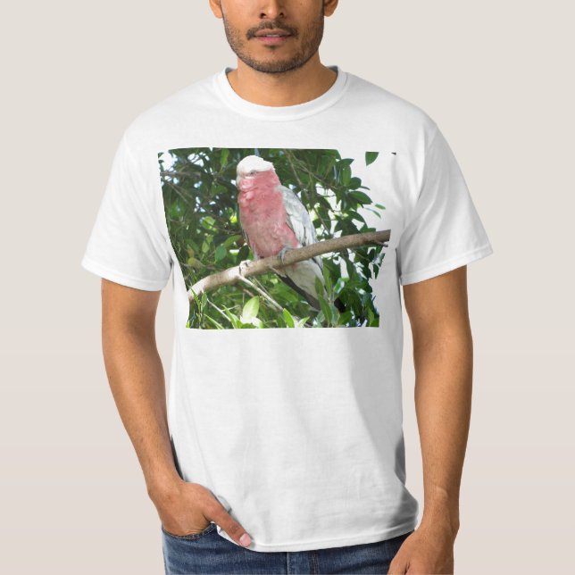 Camiseta Galah (Cockatoo cor-de-rosa de Breasted) (Frente)