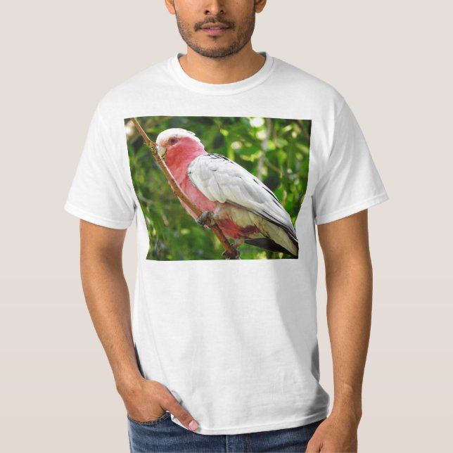 Camiseta Galah (Cockatoo cor-de-rosa de Breasted) (Frente)