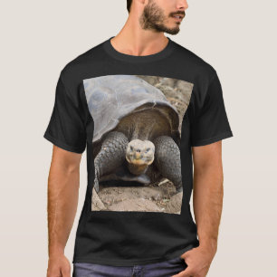 Camiseta Galápagos