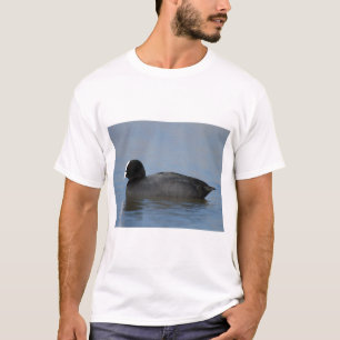 Camiseta Galeirão euro-asiático ou comum, atra do fulicul