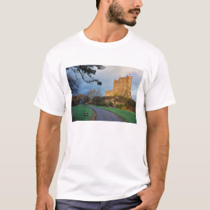 Camiseta Gales - Um castelo galês particular perto de St.