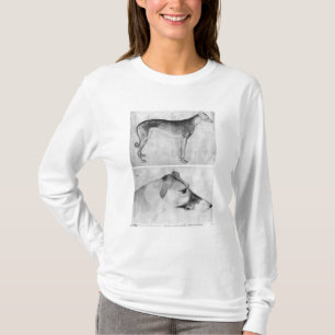 Camiseta Galgo e cabeça de um galgo
