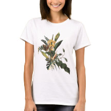 Galhos de palmeiras tropicais, folhas exóticas e a