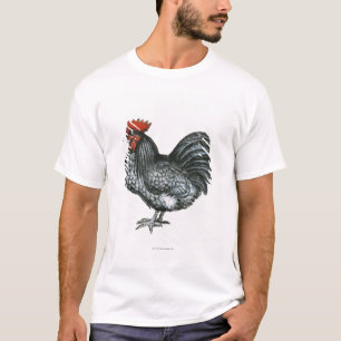 Camiseta Galinha anã azul de Orpington