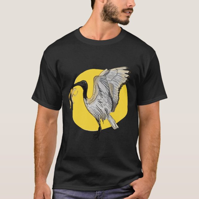 Camiseta Galinha Caixa Ibis (Frente)
