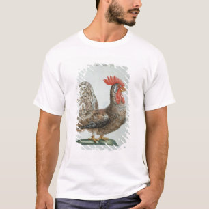 Camiseta Galo novo do anão, c.1767-76 (gravura colorida m