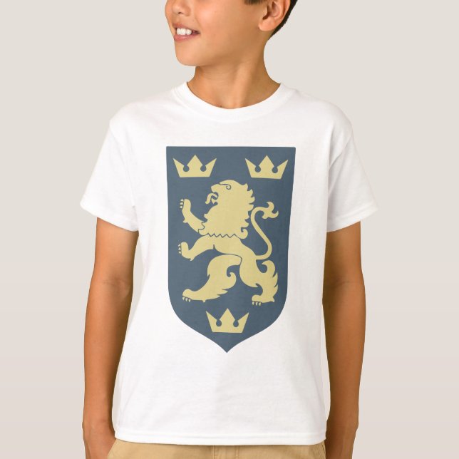 Camiseta Galychyna Ucrânia (Frente)